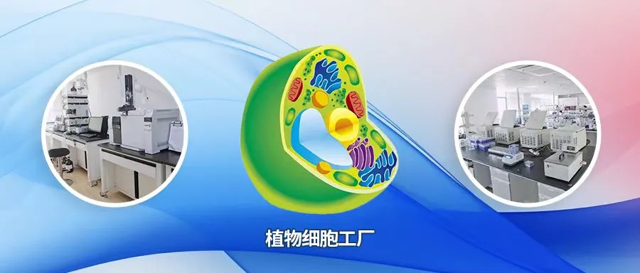 图片28.png